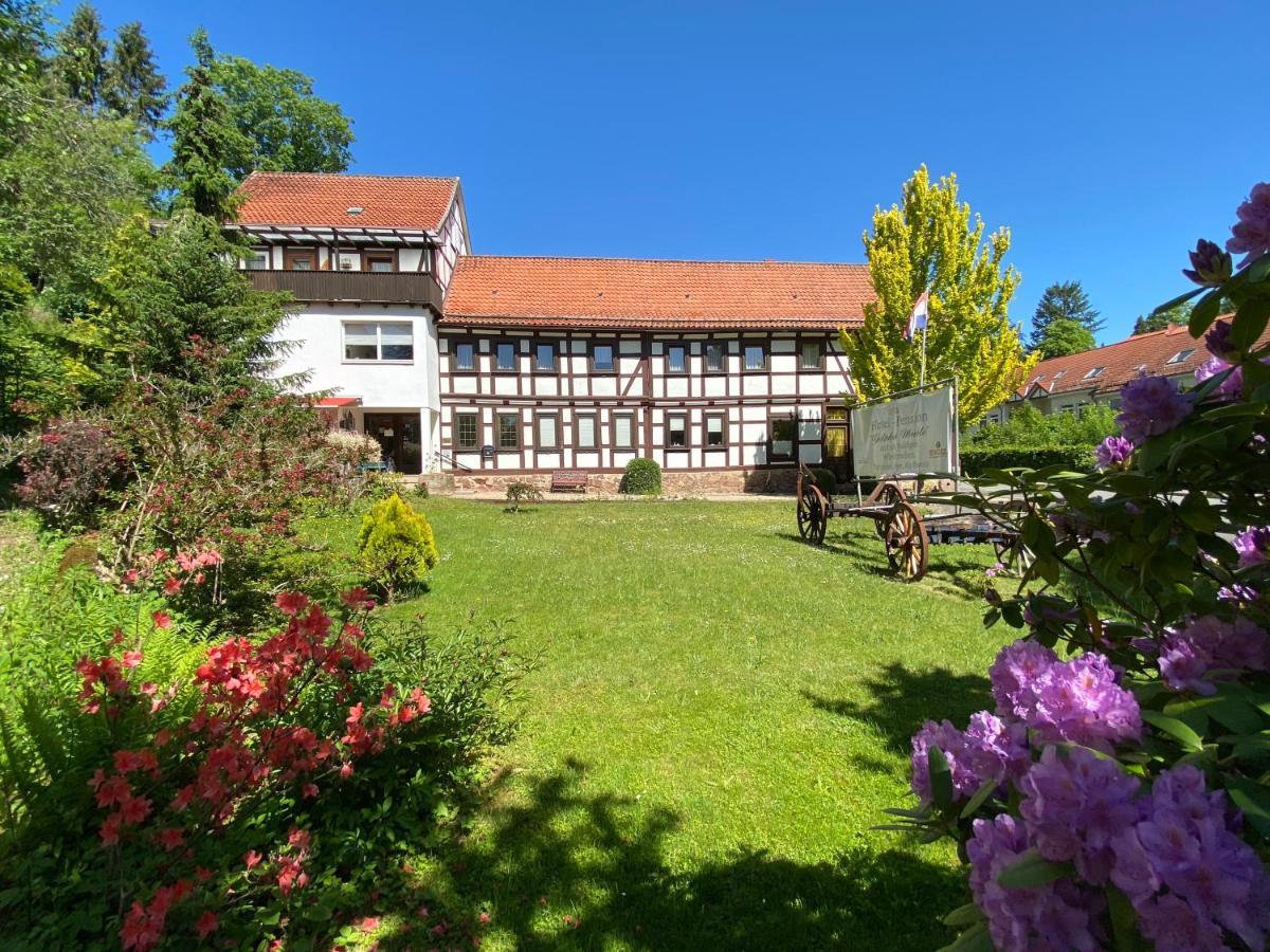 Hotel Pension Gelpkes Muehle Bad Sachsa Esterno foto